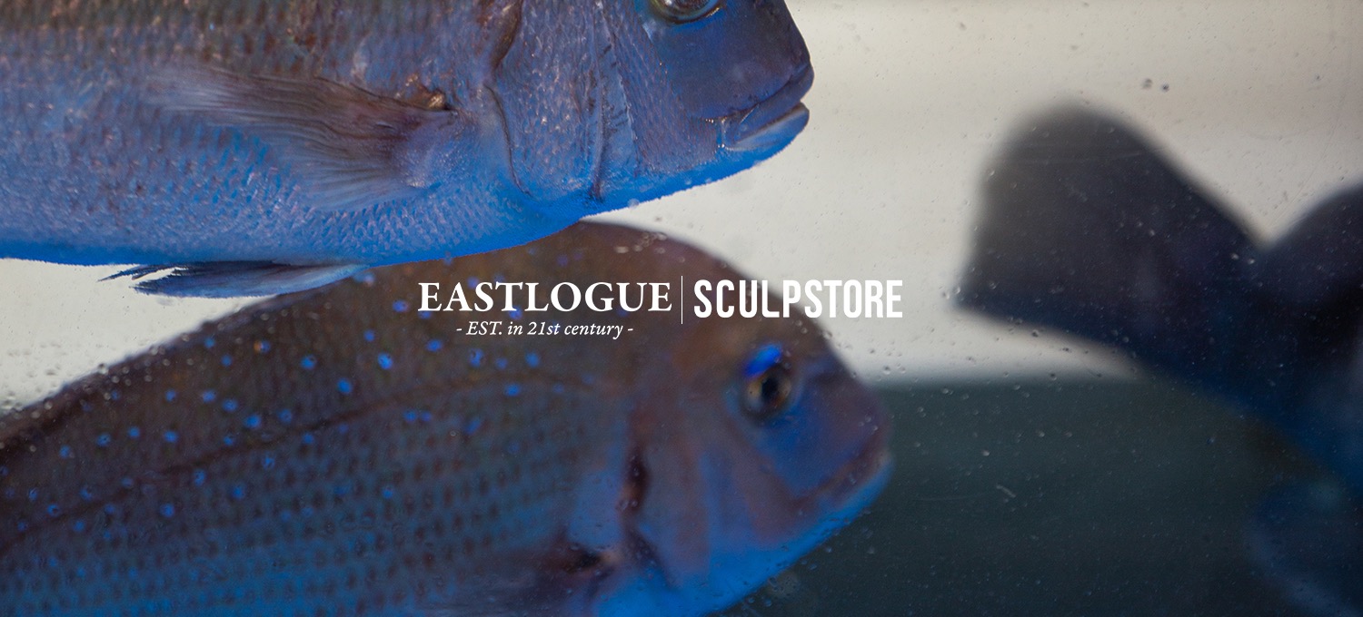 EASTLOGUE EXCLUSIVELY FOR SCULPSTORE